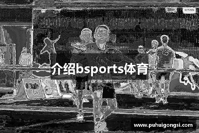 介绍bsports体育